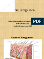 Anatomi Fisologi Kulit