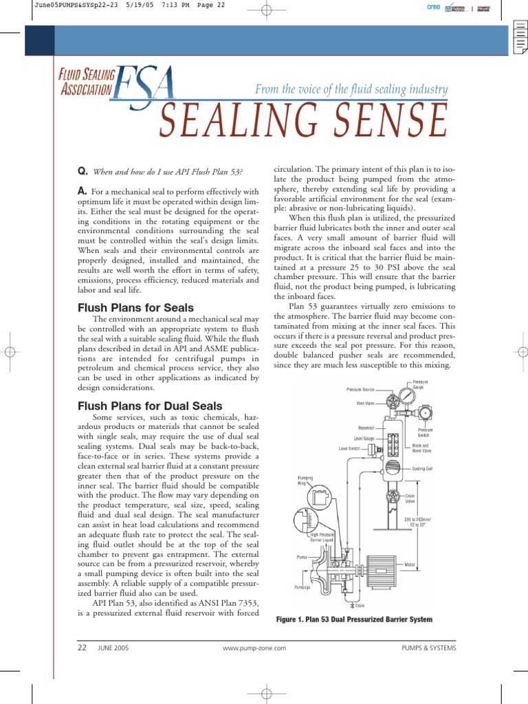 When and How Do I Use API Flush Plan 53 | PDF
