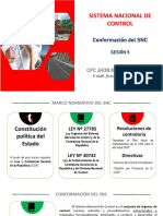 5 Conformacion Del SNC