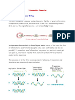 Information Transfer: Central Dogma of Molecular Biology