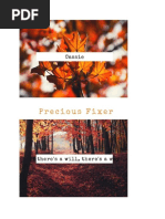 PRECIOUS__FIXER