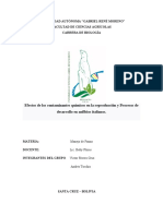 Informe Efectos Quimicos de La Contaminacion