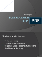 Sustainability Repot: Accounting (II)