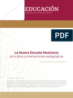 PDF Pedagogicas Nem