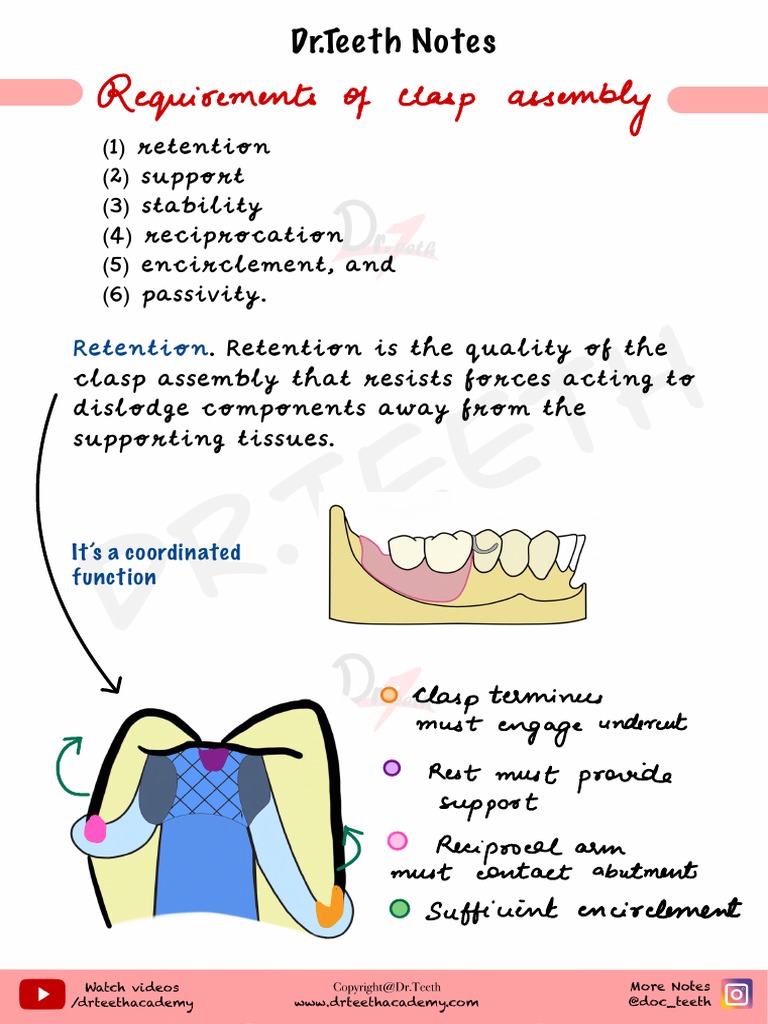 Clasp Assembly Principles in RPD | PDF | Stiffness | Mechanics