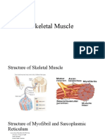 Skeletal Muscle