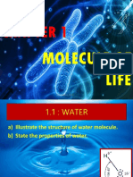 1.0 Db014 Molecule of Life 2020