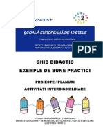 exemple_de_bune_practici_activitati_interdisciplinare_publishing