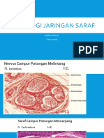 Histologi Jaringan Saraf