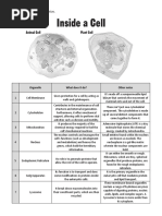 Parts of The Cell Worksheet - Biochemistry