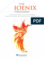 Phoenix Program (Book+ Tools)