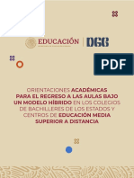 Orientaciones Académicas DGB