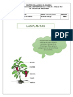 Las Plantas