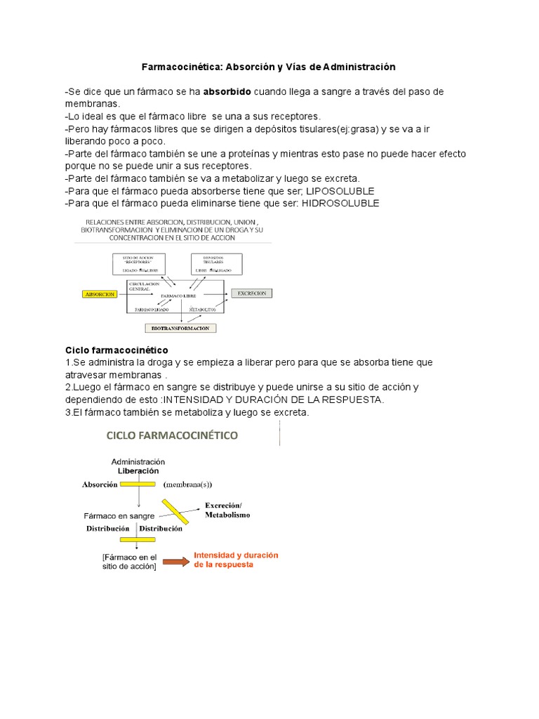 Farmacocinetica Absorción Y Vías De Administración Pdf