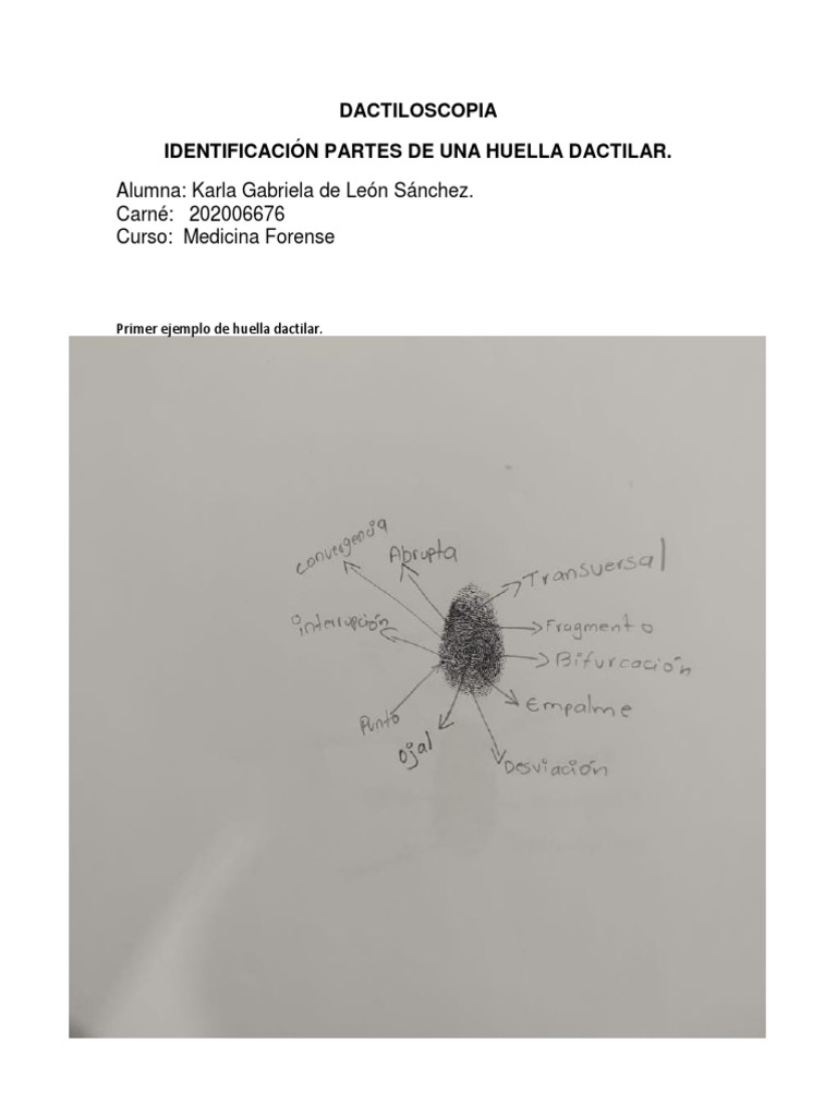 DACTILOS | PDF