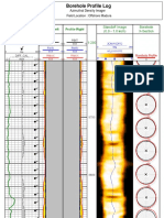 Borehole Profile Log