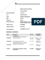 Formato Curriculum