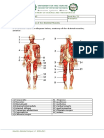 Activity 3 - Human Anatomy