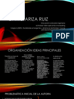 Dario Ariza Ruiz Innovacion