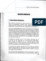 Derecho Ambiental (2)