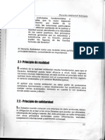 Principios Rectores Del Derecho Ambiental