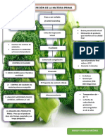 Proceso de producción y control de calidad del brócoli congelado