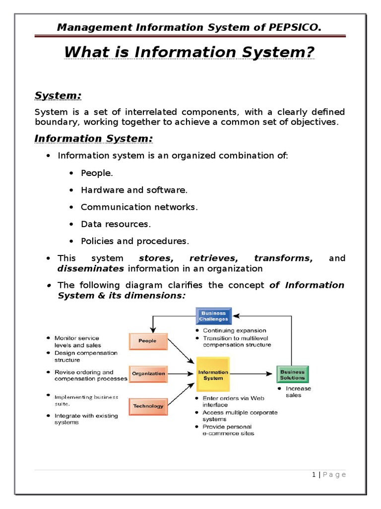 4 PDF Free | PDF | Management Information System | Information System