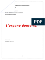 2) l'Organe Dentaire