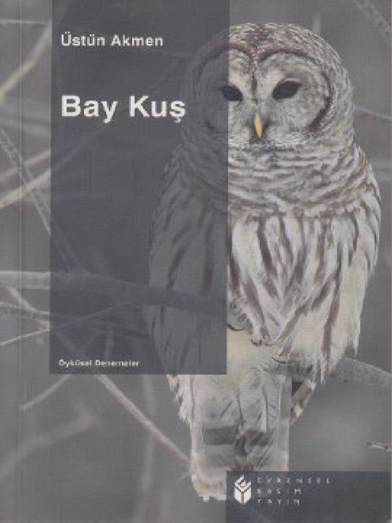 Bay Kus Ustun Akmen Pdfdrive Pdf