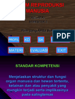 Sistem Reproduksi Manusia