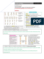 Activité 1 Gène Et Allèles Correction