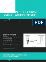Isolation of Rna From Animal Source (Tissue) 2