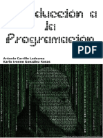 UNAM IntroduccionALaProgramacion