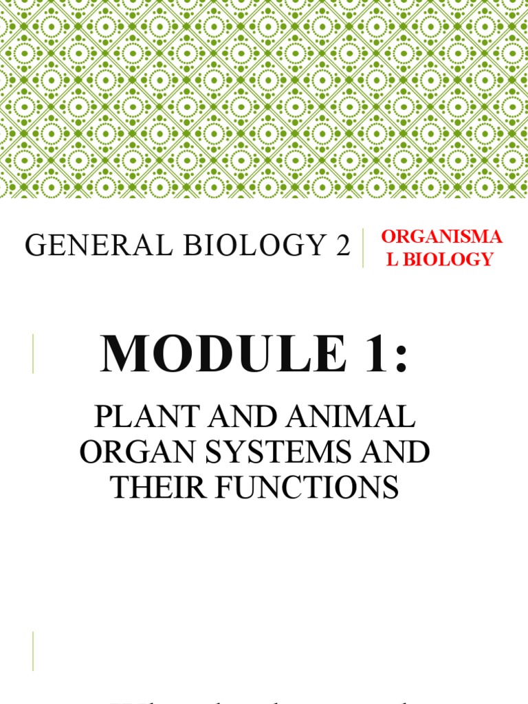 Organismal Biology | PDF | Nervous System | Sexual Reproduction