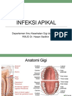 Infeksi Apikal