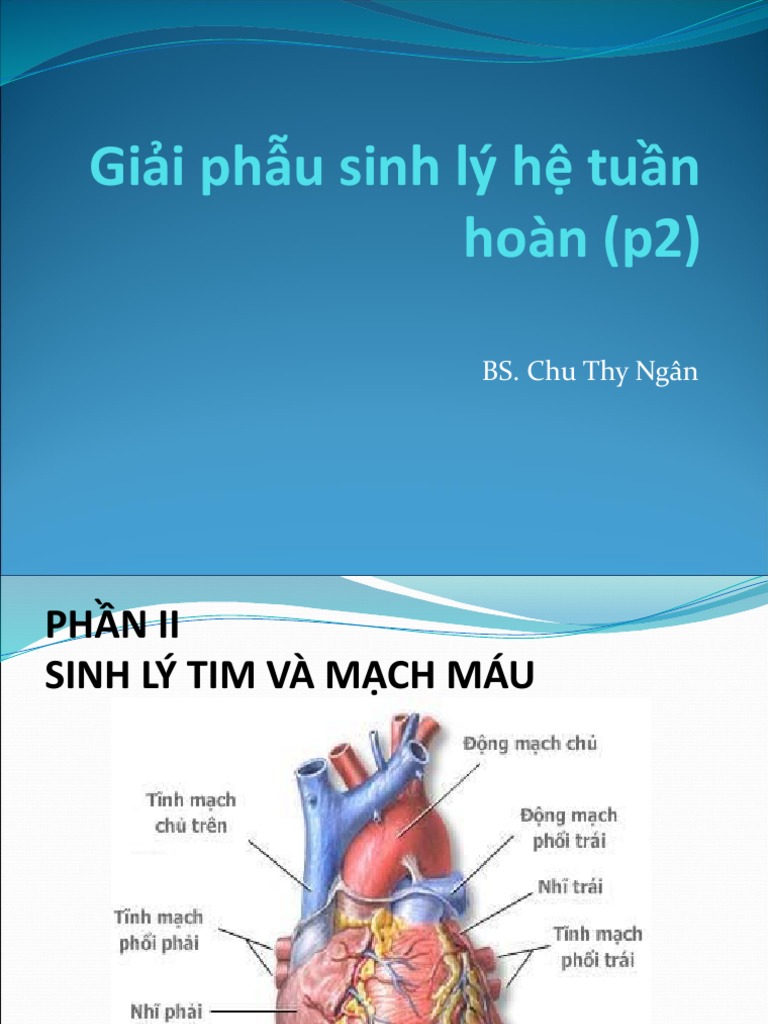 BÀI GIẢNG MINH HỌA SINH LÝ VÀ HOẠT ĐỘNG CHU KỲ CỦA TIM NGƯỜI