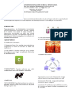 INFORME DE LABORATORIO n8 TERMINADO !