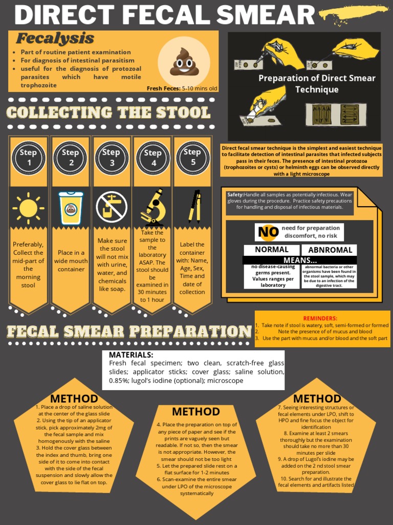 Fecal Smear PDF Feces Infection