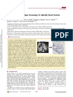 Virtual High-Throughput Screening To Identify Novel Activin Antagonists