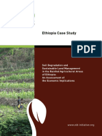 ELD-ethiopia i 06 72dpi-D