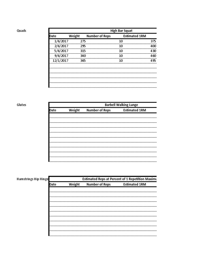Comprehensive Workout Log and Stats | PDF | Individual Sports | Weight ...