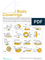 Animal Body Coverings