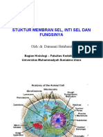 Stuktur Membran Sel, Inti Sel.ppt( Umsu -2010 )