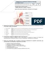 Danna Rivera. TALLER RESPIRACIÓN HUMANA