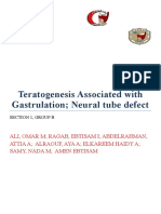 Teratogenesis Associated With Gastrulation Neural Tube Defect