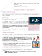 Preparacion Quimiomecanica Del Canal Radicular