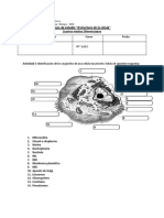 Estructura de la célula: identificación de organelos