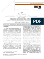 Class V Myosins: Review