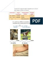 Acidos Carboxilicos Ejemplos