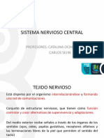 Sistema Nervioso Central